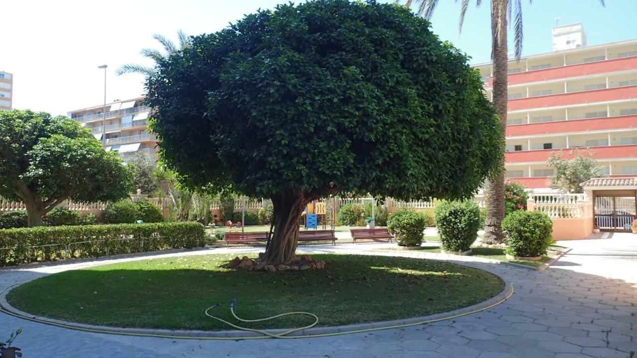 Tortuga Flat Leilighet Alicante Eksteriør bilde